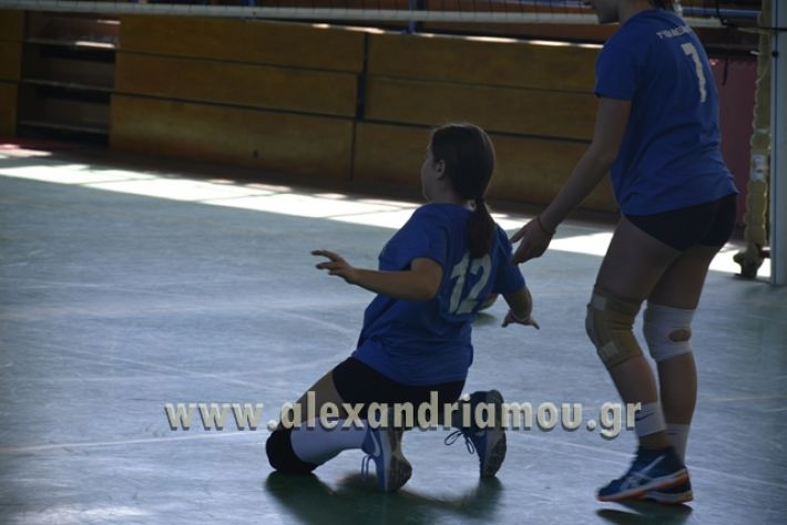 volley_1o-alexandreias-melikis2018 (70)